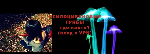 молекула духа Алексин
