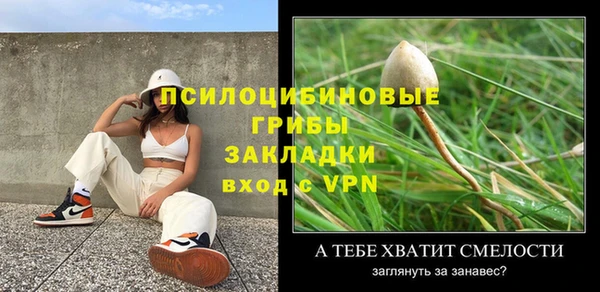 амф Алзамай