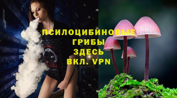 молекула духа Алексин