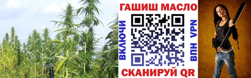 Дистиллят ТГК THC oil  дарк нет наркотические препараты  hydra зеркало  Пыть-Ях  закладка 