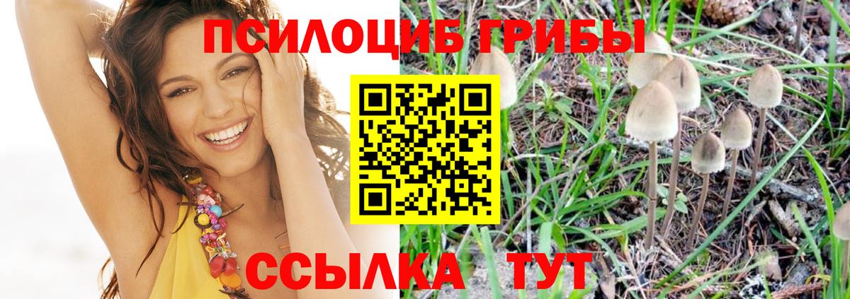 Галлюциногенные грибы прущие грибы  Псилоцибиновые грибы Magic Shrooms  Пыть-Ях  Вход с VPN 